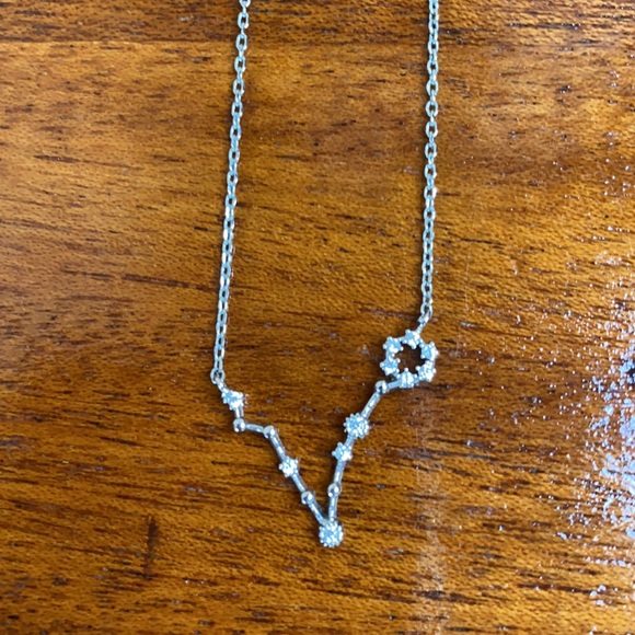 Silver Pisces ♓️ Constellation Necklace - Picture 5 of 5